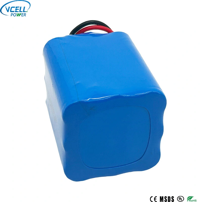 Batterie LiFePo4 9,6 V 6 000 mAh IFR18650